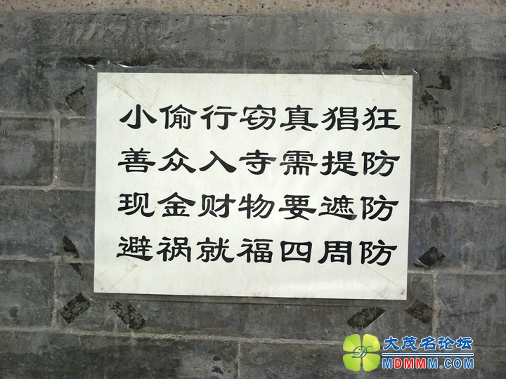 WP_000547.jpg