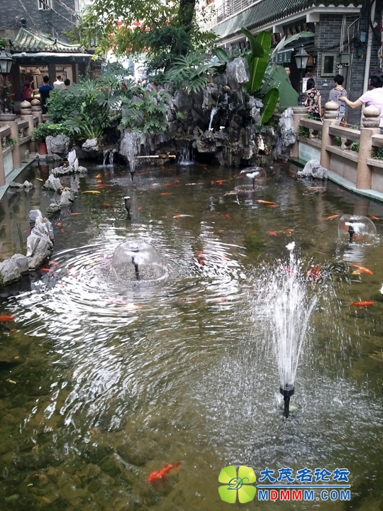 WP_000571.jpg