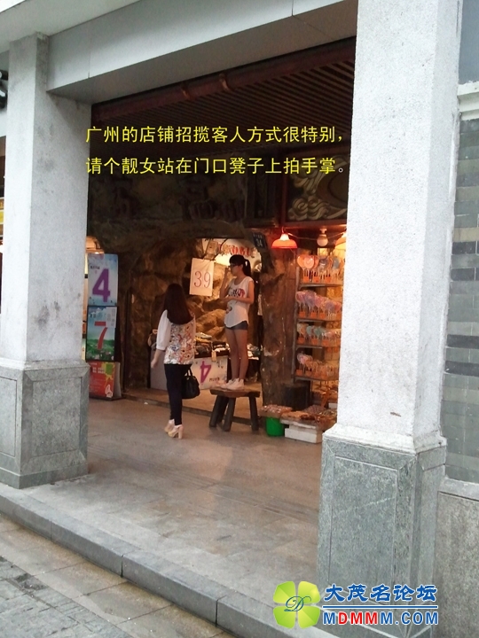 WP_000503.jpg