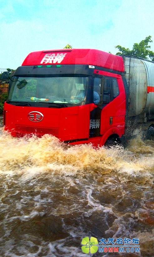 IMAG0374.jpg