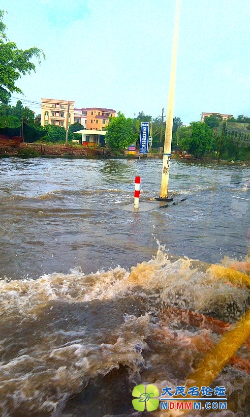 IMAG0375.jpg