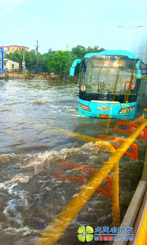 IMAG0376.jpg