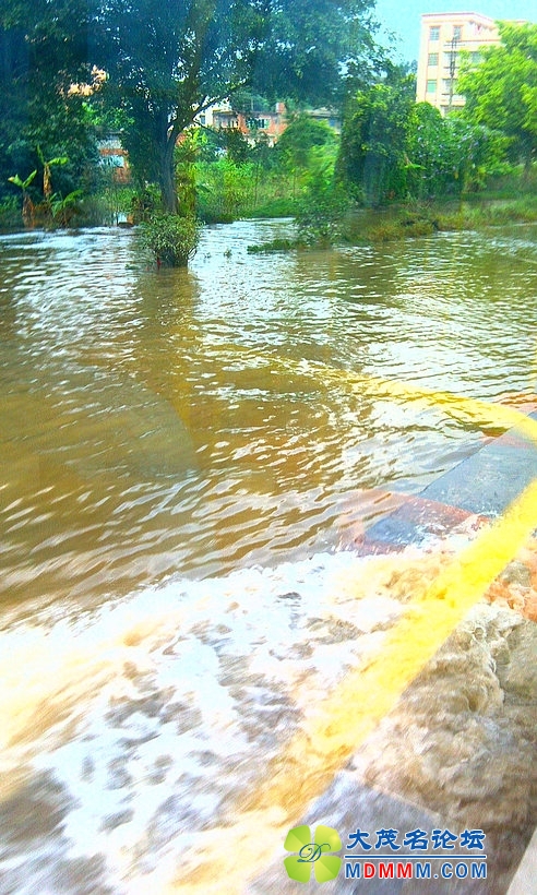 IMAG0379.jpg