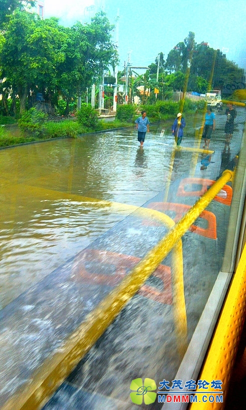 IMAG0381.jpg