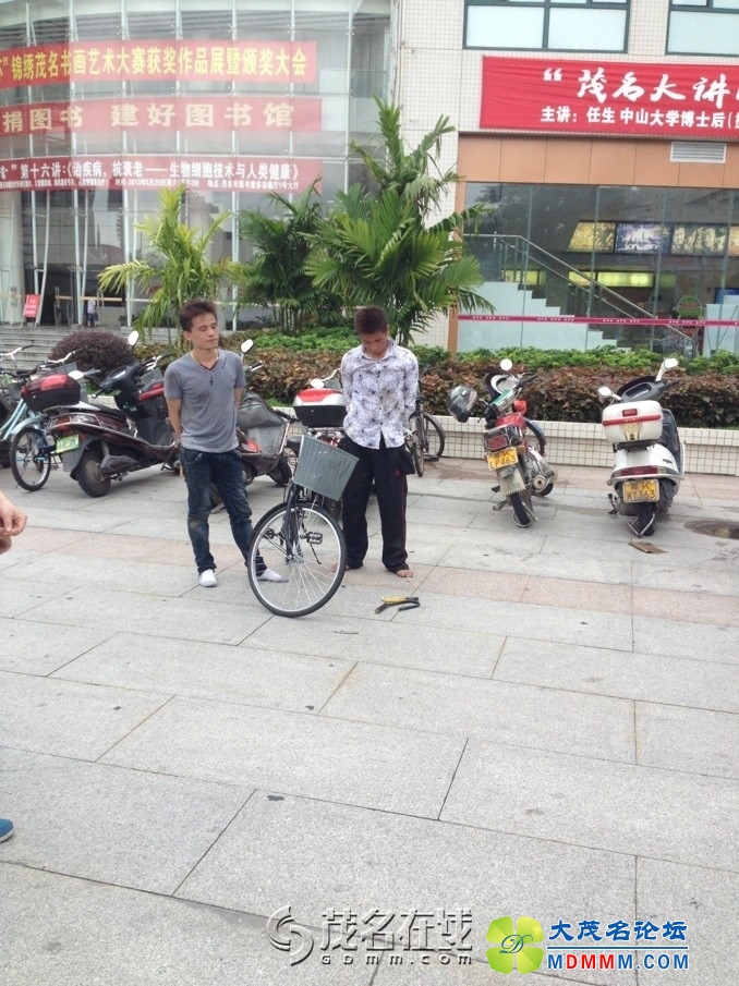 213349hes0sbo0441403mo.jpg