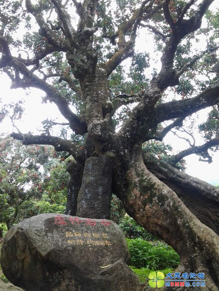 2黳7.jpg