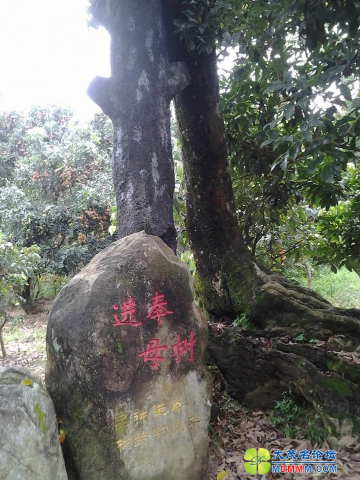 9ĸ.jpg