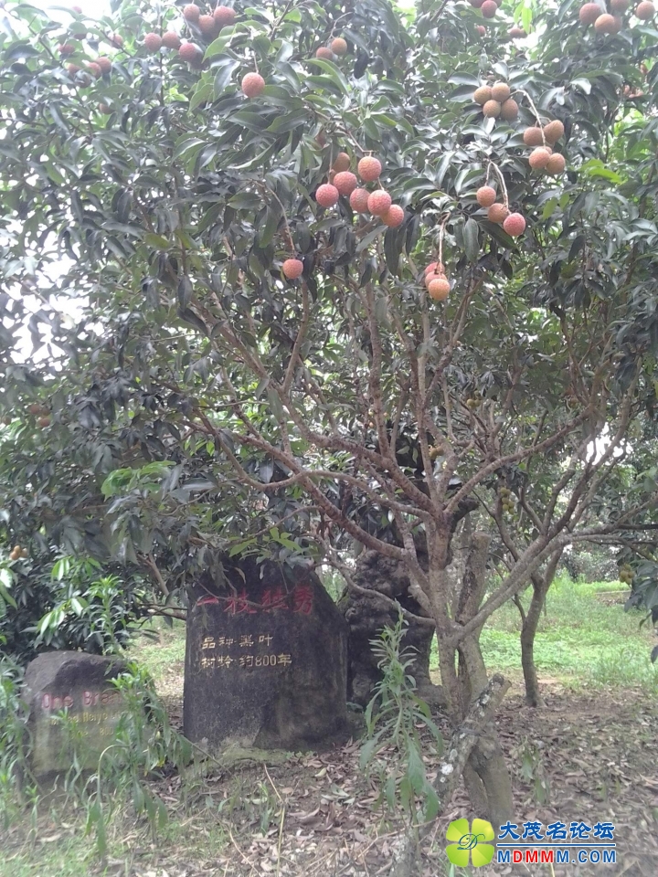 22һ֦.jpg