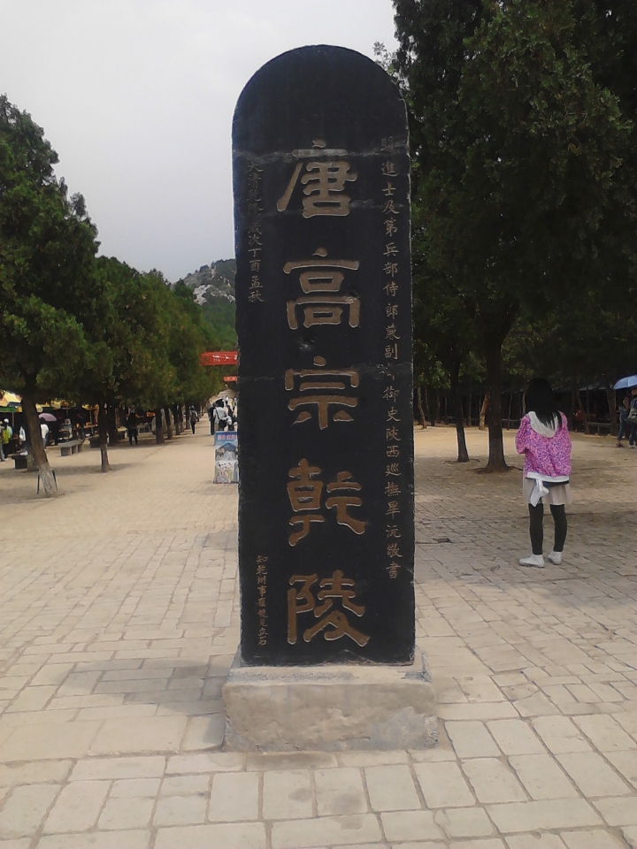 IMG_20130522_110828_0.jpg