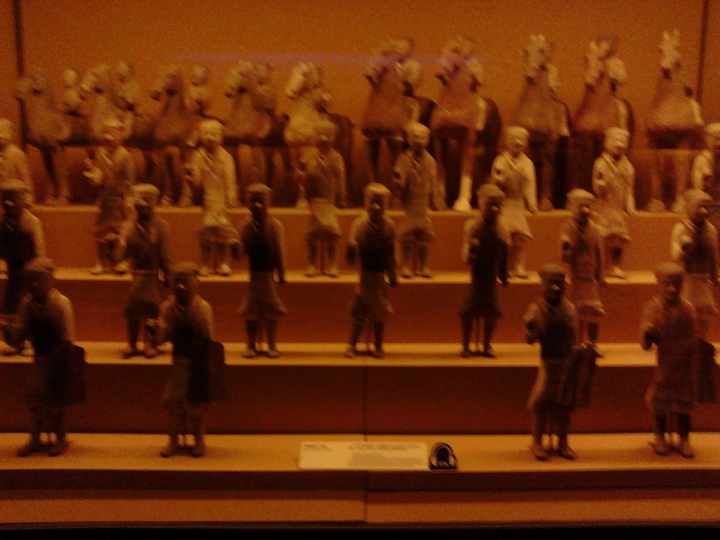 IMG_20130524_093018_0.jpg