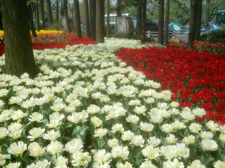 IMG_20130402_11331922.jpg