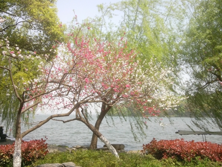 IMG_20130402_11552272.jpg