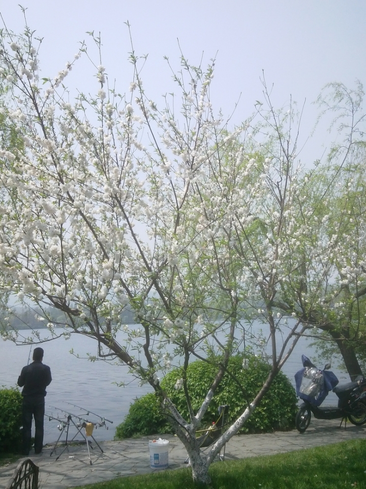 IMG_20130402_12050725.jpg