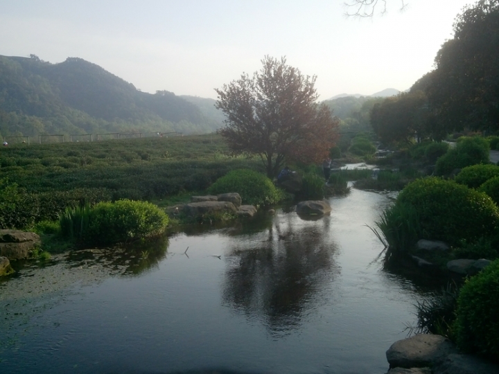 IMG_20130402_16525802.jpg