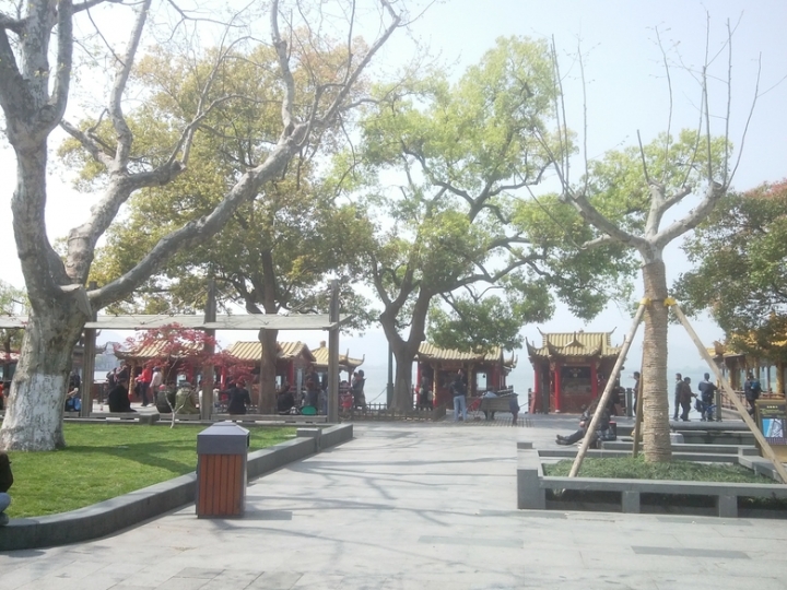 IMG_20130402_105626540.jpg