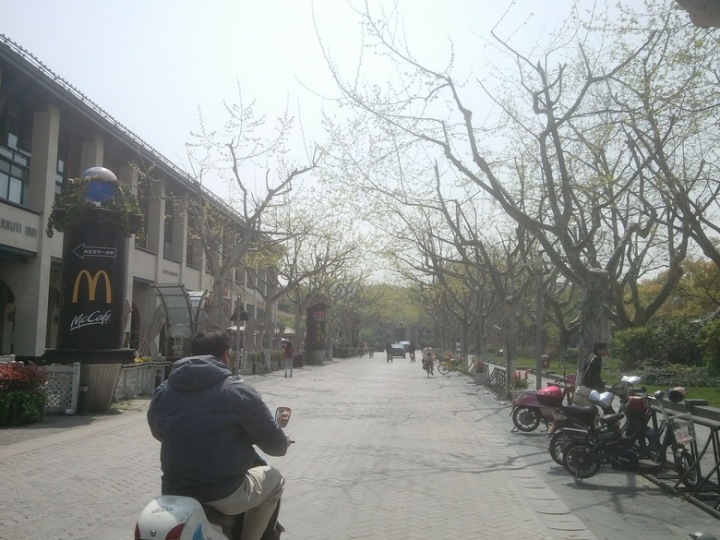 IMG_20130402_105631353.jpg