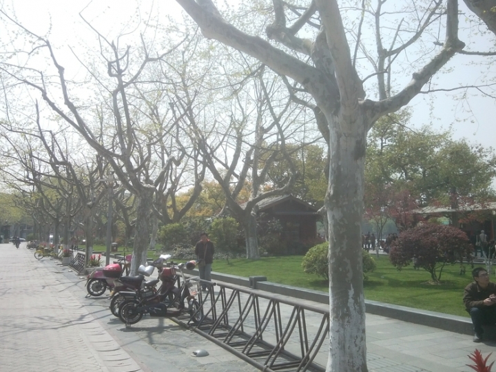 IMG_20130402_105714436.jpg