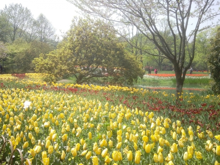 IMG_20130402_113536490.jpg