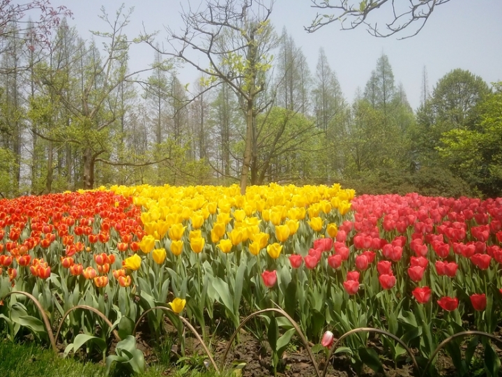 IMG_20130402_113706733.jpg