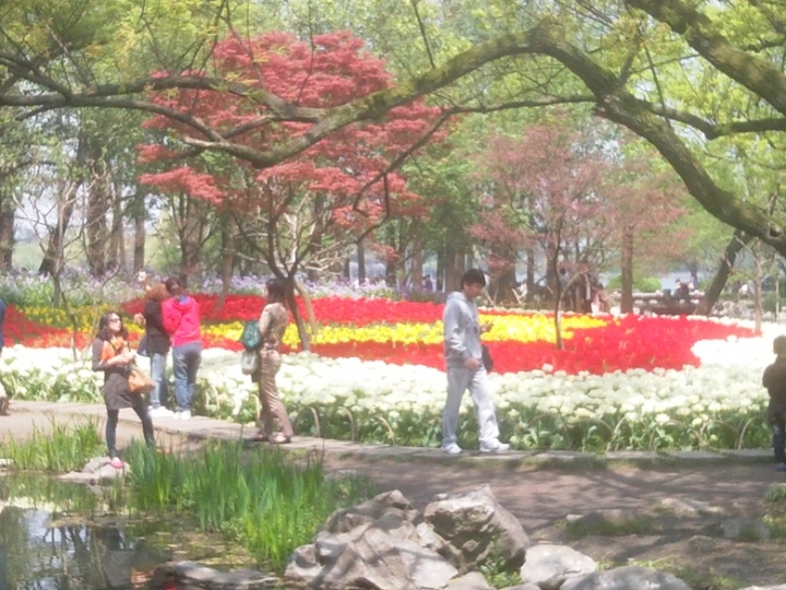 IMG_20130402_114034903.jpg
