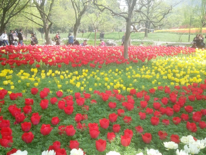 IMG_20130402_114211231.jpg