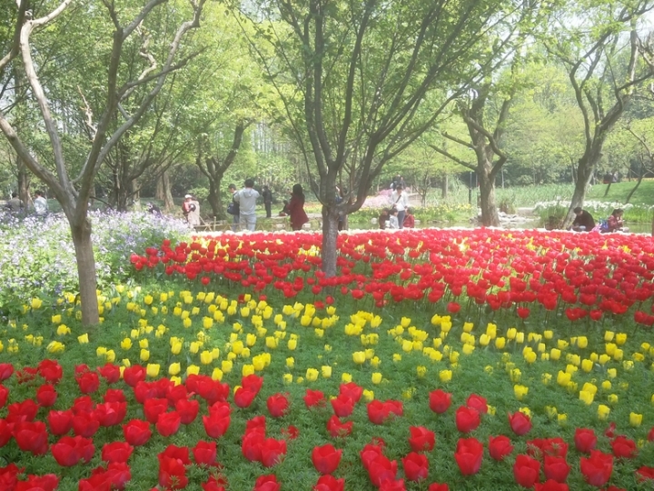 IMG_20130402_114220683.jpg