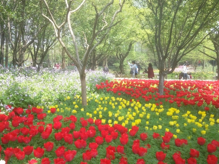 IMG_20130402_114225905.jpg