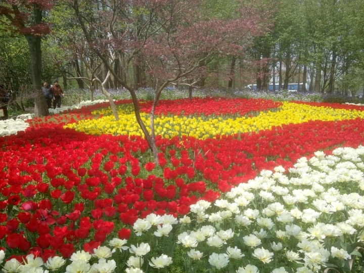 IMG_20130402_114414441.jpg