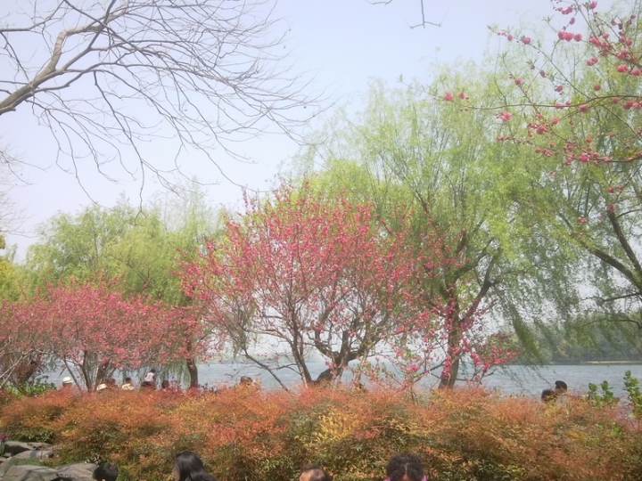 IMG_20130402_115347832.jpg
