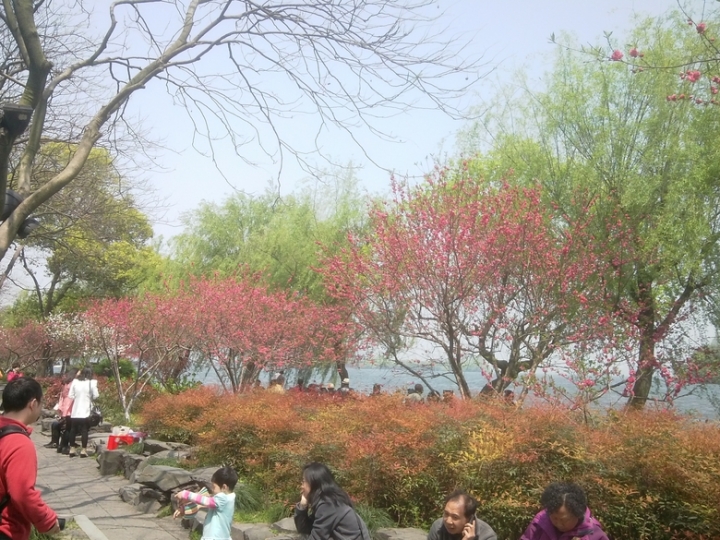 IMG_20130402_115354286.jpg