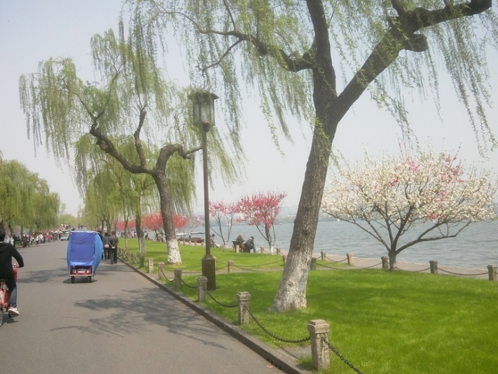 IMG_20130402_123219670.jpg
