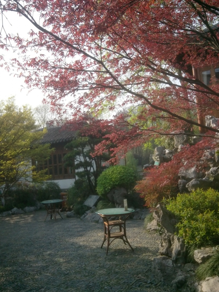 IMG_20130402_160352472.jpg