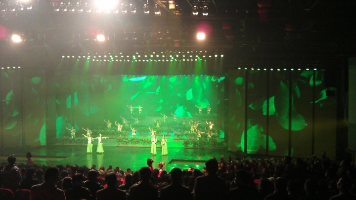 IMAG0355.jpg