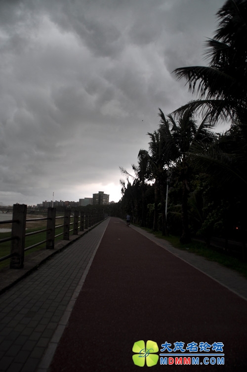 DSC_0409_2.jpg