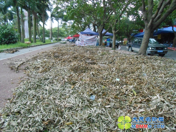 DSCN2908.jpg
