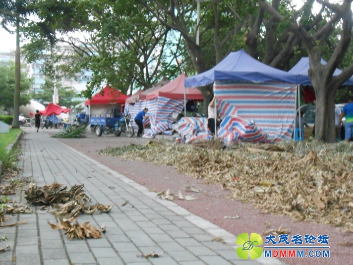 DSCN2906.jpg