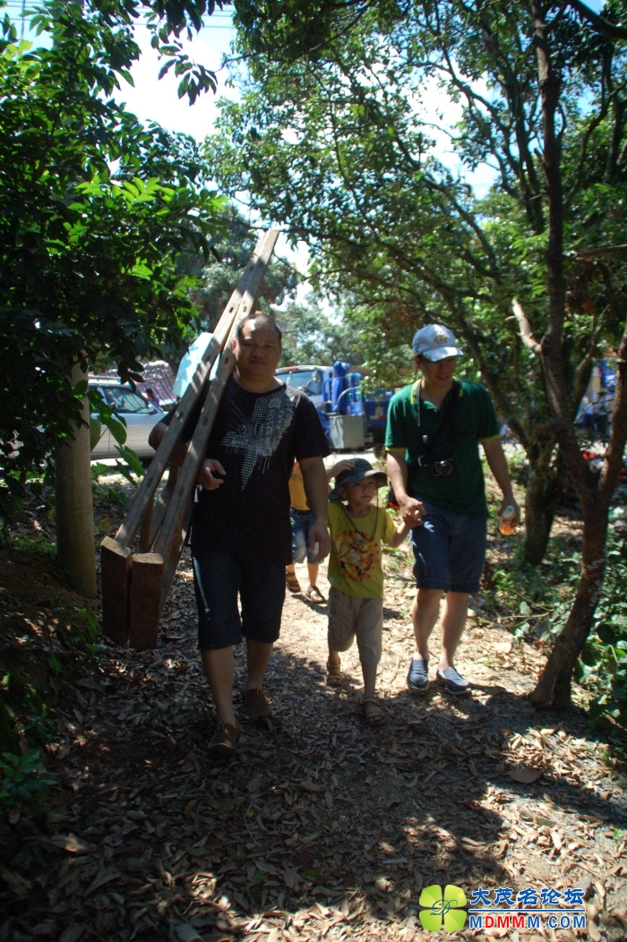 DSC_4206.jpg