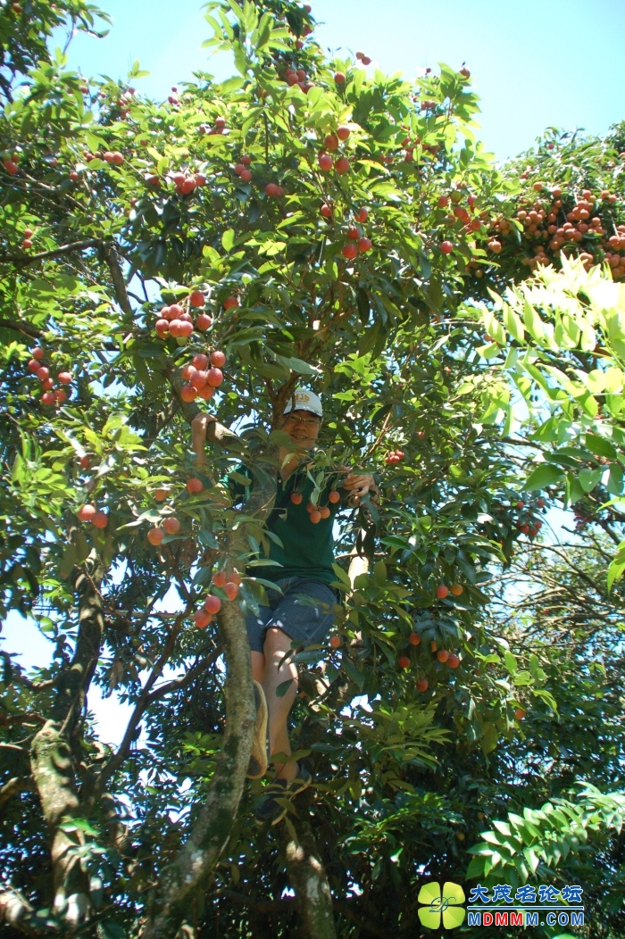 DSC_4265.jpg