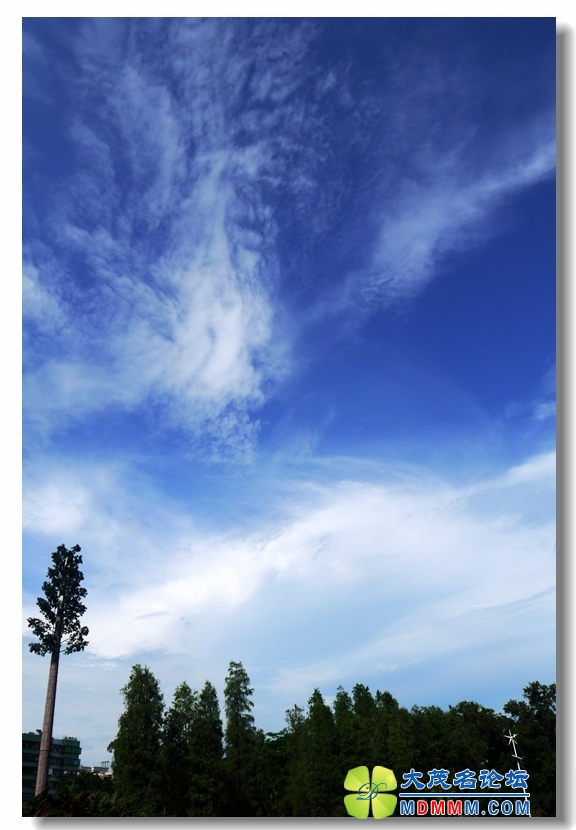 2013-06-03 ƾ 14.jpg
