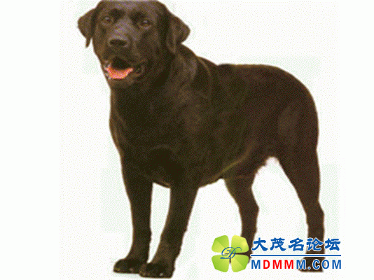slide0008_image061.gif