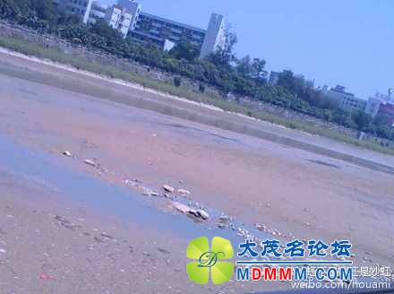 69f08107jw1e5mf4kemtmj20ns0hs3ze.jpg