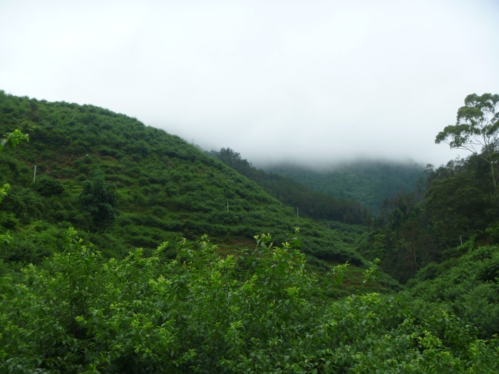 P1030403.jpg