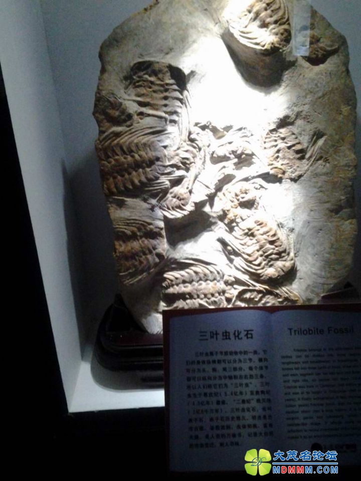 9Ҷ滯ʯ.jpg