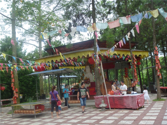 P1030468.jpg