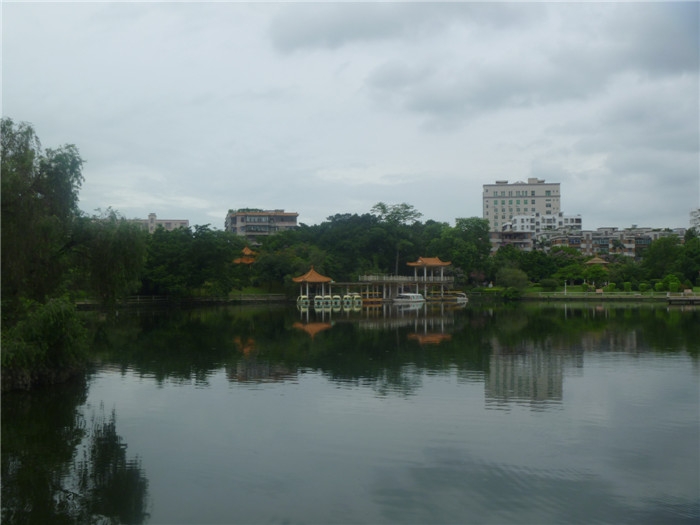 P1030472.jpg