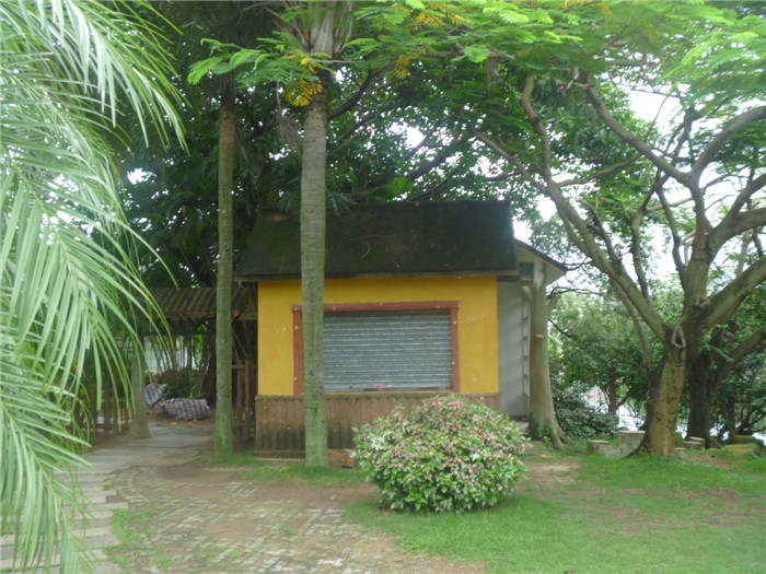 P1030476.jpg