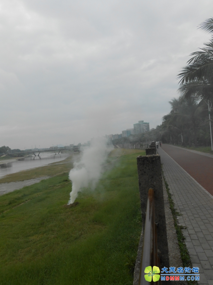 DSCN3134.JPG