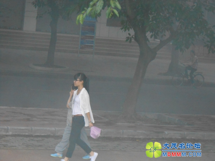 DSCN3138.JPG