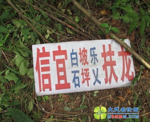 QQͼƬ20130613144032.jpg