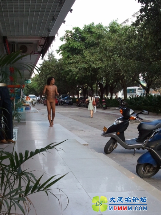 WP_000844.jpg